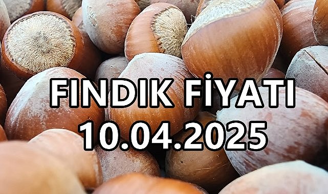 Fındık Fiyatı 10 Nisan 2025 Perşembe