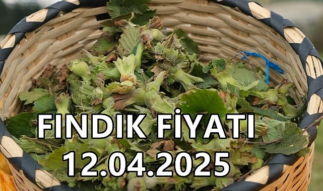 Fındık Fiyatı 12 Nisan 2025 Cumartesi
