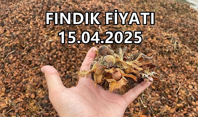 Fındık Fiyatı 15 Nisan 2025 Salı