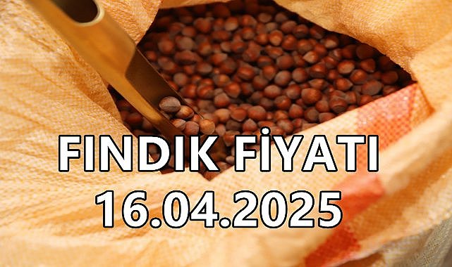 Fındık Fiyatı 16 Nisan 2025 Çarşamba