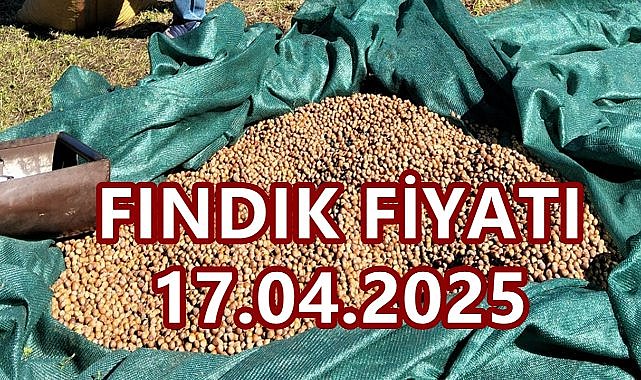 Fındık Fiyatı 17 Nisan 2025 Perşembe
