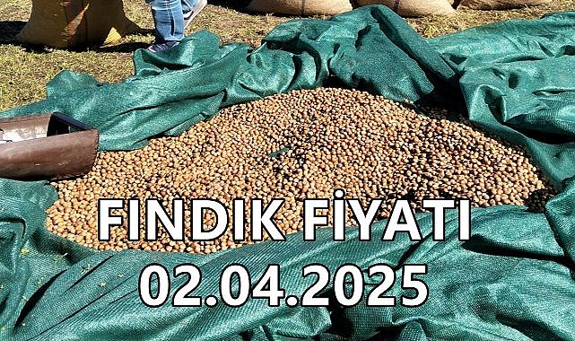 Fındık Fiyatı 2 Nisan 2025 Çarşamba
