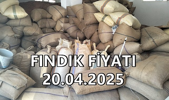 Fındık Fiyatı 20 Nisan 2025 Pazar