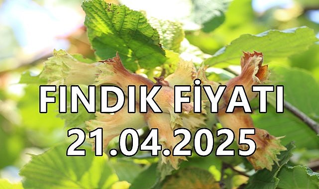 Fındık Fiyatı 21 Nisan 2025 Pazartesi