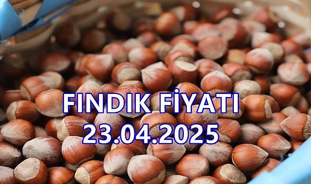 Fındık Fiyatı 23.04.2025 Çarşamba