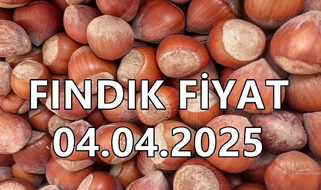Fındık Fiyatı 4 Nisan 2025 Cuma