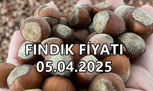 Fındık Fiyatı 5 Nisan 2025 Cumartesi
