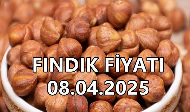 Fındık Fiyatı 8 Nisan 2025 Salı