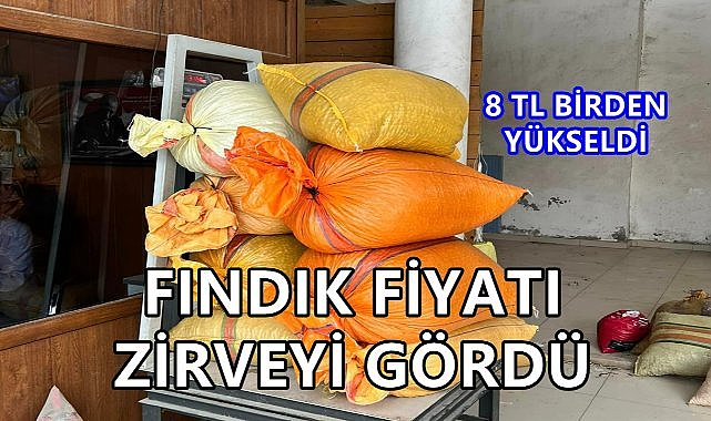 Fındık Fiyatı Gaza Bastı; Sezonun Rekoru Kırıldı!