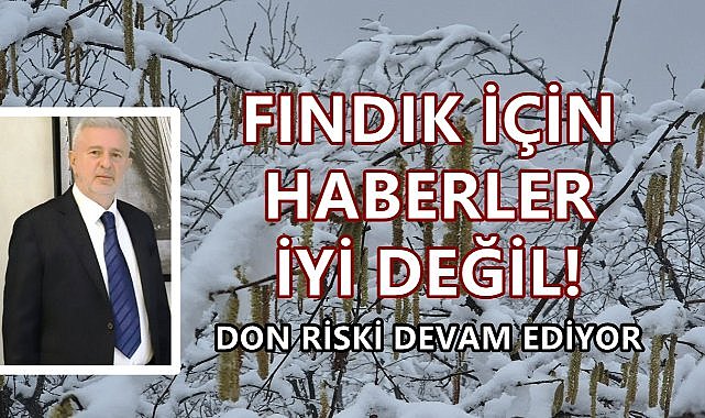 Fındık İçin Haberler İyi Değil; Don Riski Devam Ediyor!