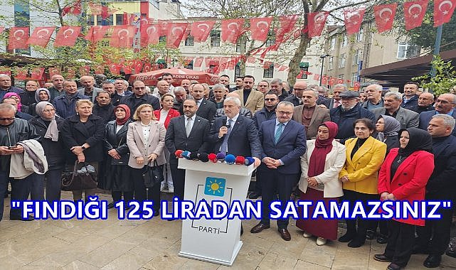 Fındık Krizi Kapıda; 600 Rakımın Üzerinde Sıfır Fındık, 125 Liradan Fındık Satamazsınız