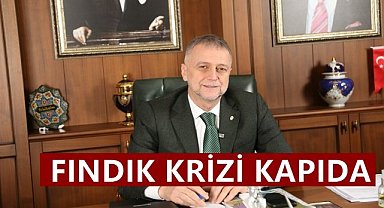 Fındık Krizi Kapıda; OTSO Başkanı'ndan Çiftçiye Destek İçin 5 Talep!