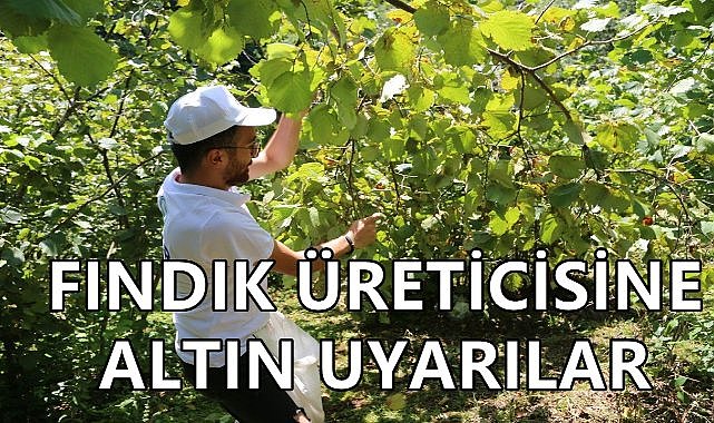 Fındık Üreticileri Dikkat! Nisan Ayında Bahçelerde Yapılması Gerekenler