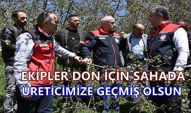 Fındık Üreticisine Geçmiş Olsun; Ekipler Don İçin Fındık Bahçelerinde
