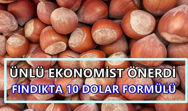 Fındıkta 10 Dolar Formülü; Üretimi Azalt Geliri Katla