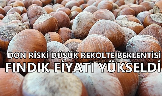 Fındıkta Don Riski Düşük Rekolte Beklentisi Fiyatları Yükseltti