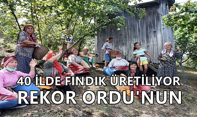 Fındıkta Lider Ordu; Türkiye Üretiminin % 30&#039;unu Karşılıyor