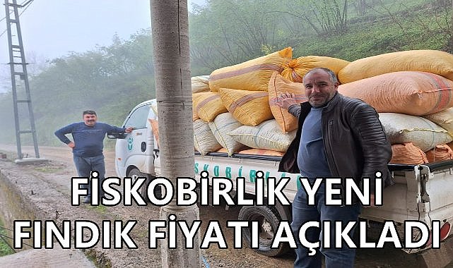 Fiskobirlik&#039;in Yeni Açıkladığı Fındık Fiyatı Üreticileri Şaşırttı!