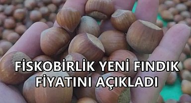 Fiskobirlik Yeni Fındık Fiyatını Açıkladı; Serbest Piyasanın Altında Kaldı