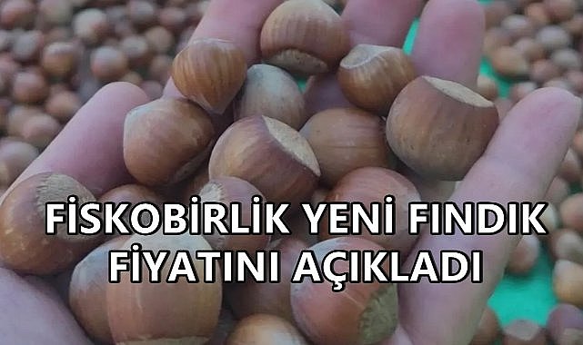 Fiskobirlik Yeni Fındık Fiyatını Açıkladı; Serbest Piyasanın Altında Kaldı