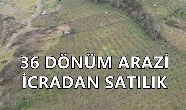 Giresun&#039;da 36 Dönümlük Arazi İcradan Satışa Çıkartıldı; İşte Detaylar
