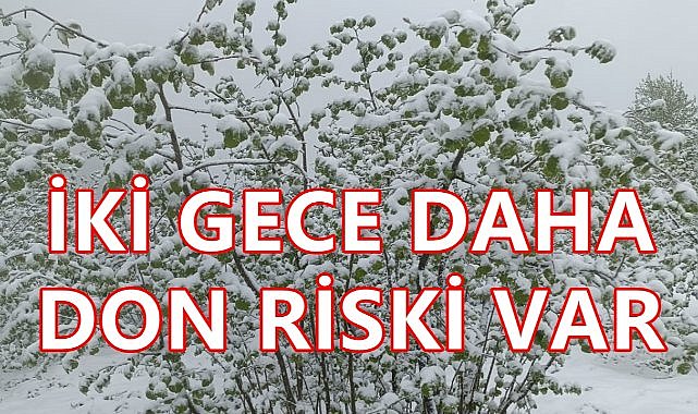 Meteoroloji  Ordu İçin Yeni Don Uyarısı Yaptı; Fındık İçin Korku Dolu İki Gece!