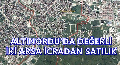 Ordu'da 175 Milyon Lira Değerinde İki Arsa İcradan Satışta; Konum ve Detaylar Şaşırtıyor!
