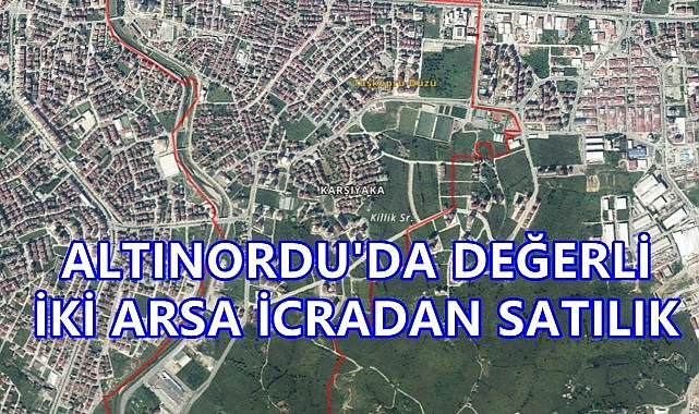 Ordu&#039;da 175 Milyon Lira Değerinde İki Arsa İcradan Satışta; Konum ve Detaylar Şaşırtıyor!