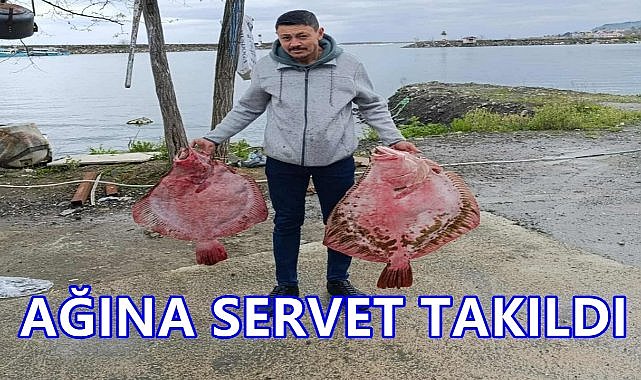 Ordu&#039;da Dev Kalkan Balığı Avlandı; Tanesi 12 Bin TL&#039;den Satıldı