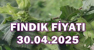 Ordu'da Fındık Nisan Ayında Rekor Artış Gösterdi