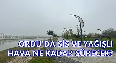 Ordu'da Hava Durumu Sis ve Yağmur Devam Ediyor