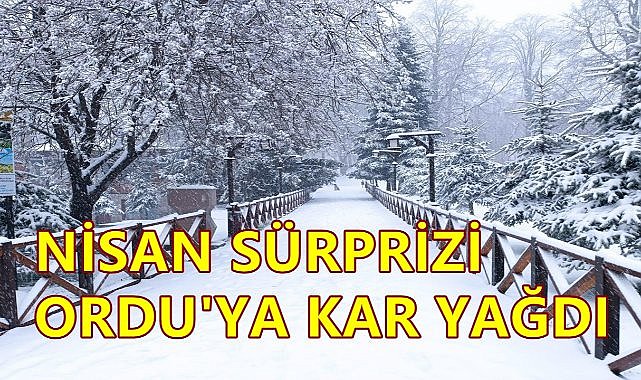 Ordu&#039;da Nisan Ayında Kar Yağdı; İlkbahar Erken Geri Döndü