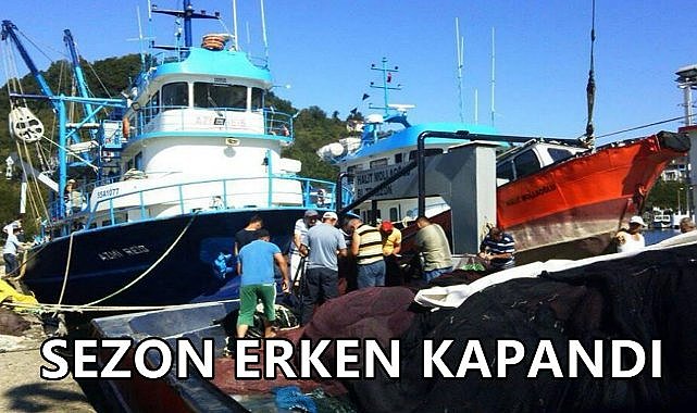 Ordulu Balıkçılar Sezonu Erken Kapatıyor; Palamut Bol, Hamsi Zayıf!