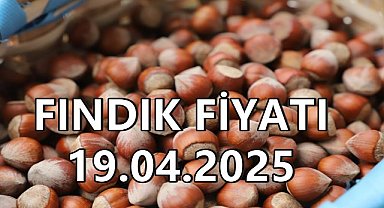 Son Dakika Fındık Fiyatı 19 Nisan 2025 Cumartesi