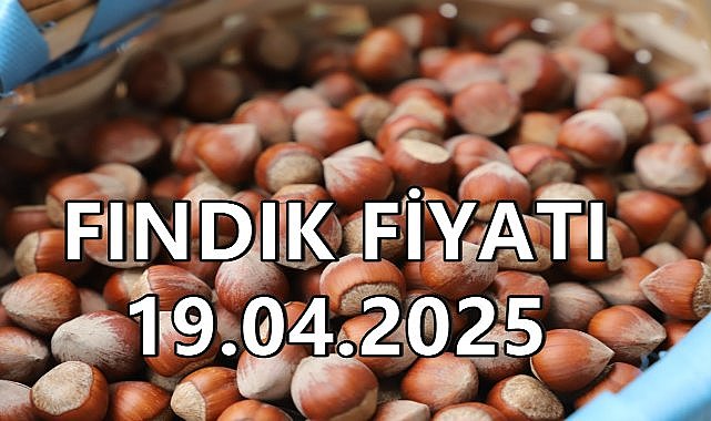Son Dakika Fındık Fiyatı 19 Nisan 2025 Cumartesi