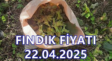 Son Dakika..Fındık Fiyatı 22 Nisan 2025 Salı