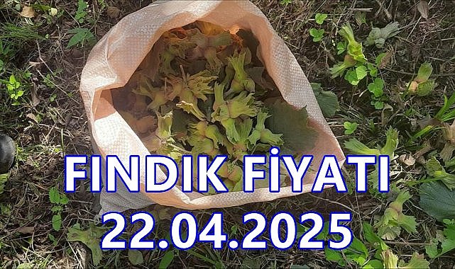 Son Dakika..Fındık Fiyatı 22 Nisan 2025 Salı