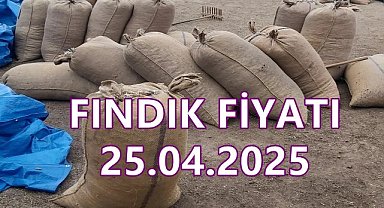 Son Dakika...Ordu'da Fındık Fiyatı 25 Nisan 2025 Cuma