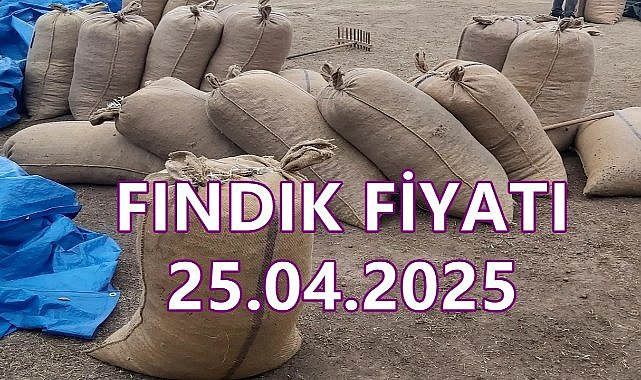 Son Dakika...Ordu&#039;da Fındık Fiyatı 25 Nisan 2025 Cuma