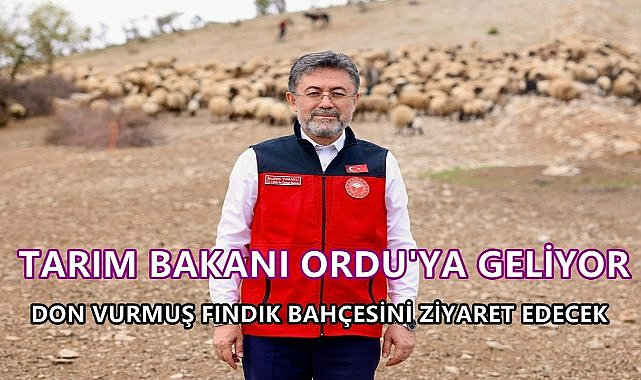 Tarım Bakanı Ordu&#039;da Donun Vurduğu Fındık Bahçelerini İnceleyecek!