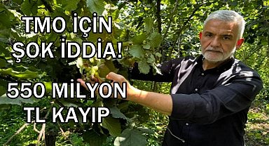 TMO'nun Fındık Satışı Eleştiriliyor; Ziraat Odası Başkanı Akça'dan 140 Milyon Dolar Kayıp İddiası