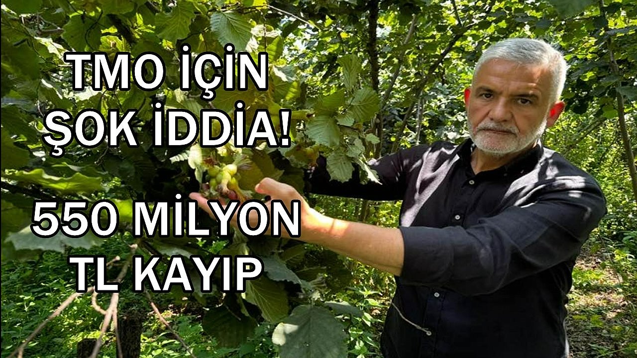 TMO'nun Fındık Satışı Eleştiriliyor; Ziraat Odası Başkanı Akça'dan 140 Milyon Dolar Kayıp İddiası
