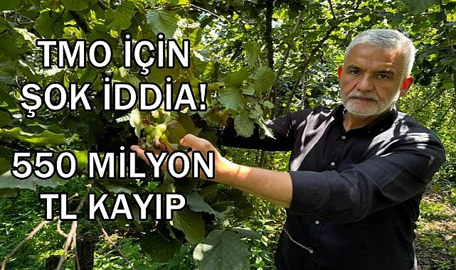 TMO&#039;nun Fındık Satışı Eleştiriliyor; Ziraat Odası Başkanı Akça&#039;dan 140 Milyon Dolar Kayıp İddiası