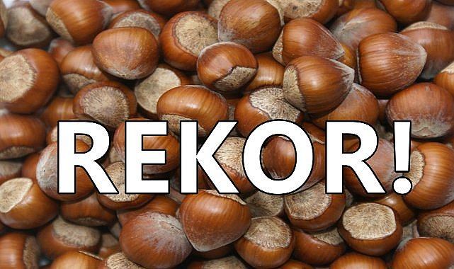 Türkiye&#039;nin Fındık İhracatında Rekor Artış