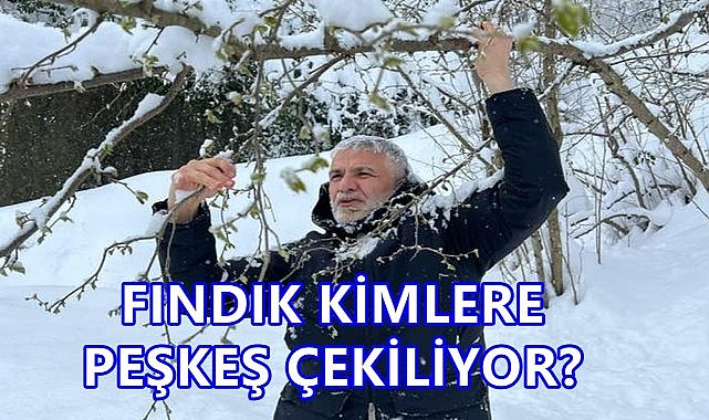 Ziraat Odası Başkanı Akça&#039;dan TMO&#039;ya Uyarı; Düşük Fiyata Fındık Satmanın Hesabı Sorulur!