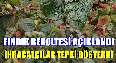 2025 Yılı Fındık Rekoltesi Açıklandı; İhracatçılardan Sert Tepki!