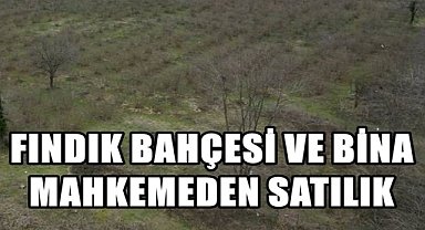 Altınordu'da İki Fındık Bahçesi ve 1 Bina İcradan satışa Çıktı
