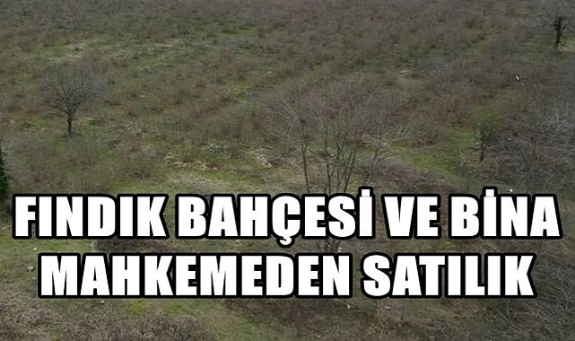 Altınordu&#039;da İki Fındık Bahçesi ve 1 Bina İcradan satışa Çıktı