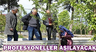 Doğru Aşılama İle Verim Artıyor; Ordu'da Üreticilere Uygulamalı Eğitim