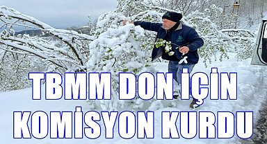 Don Vurdu Meclis Harekete Geçti; Komisyon Fındıkta Yaşanan Donu Araştıracak